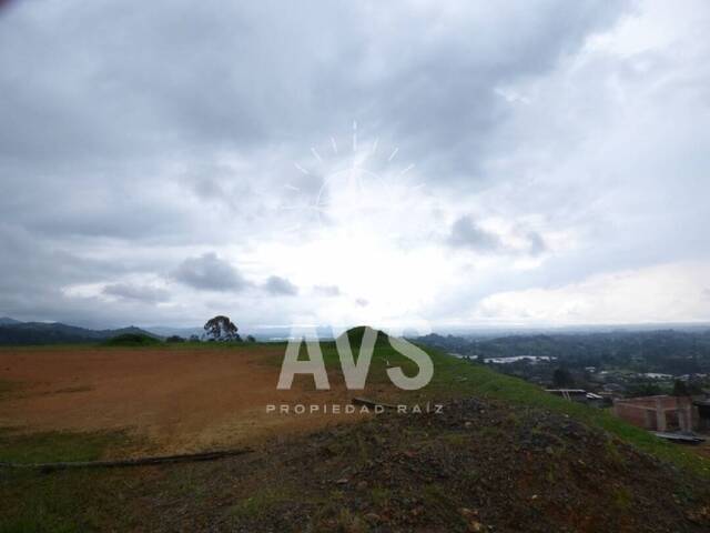 Terreno para Venta en Rionegro - 4
