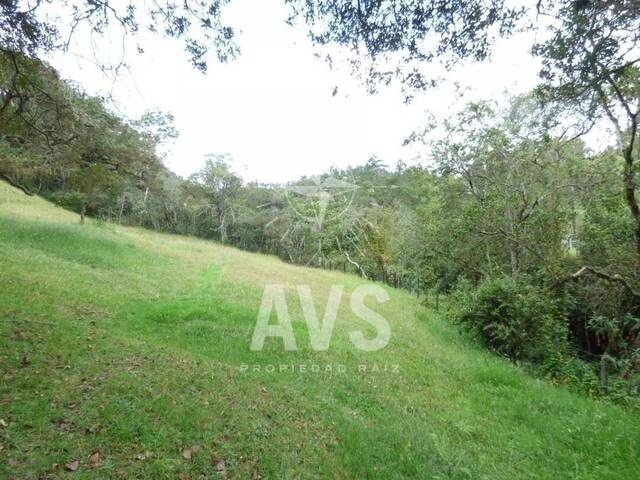 #2788 - Terreno para Venta en Envigado - ANT - 1