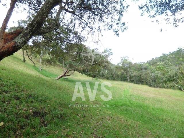 #2788 - Terreno para Venta en Envigado - ANT - 2