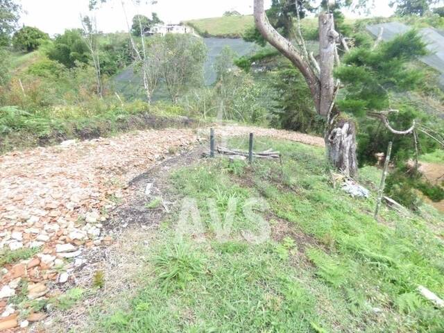 #2877 - Terreno para Venta en Marinilla - ANT - 3