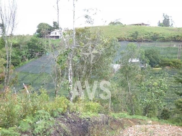 Terreno para Venta en Marinilla - 4