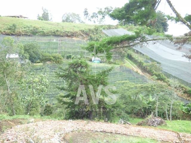 Terreno para Venta en Marinilla - 5