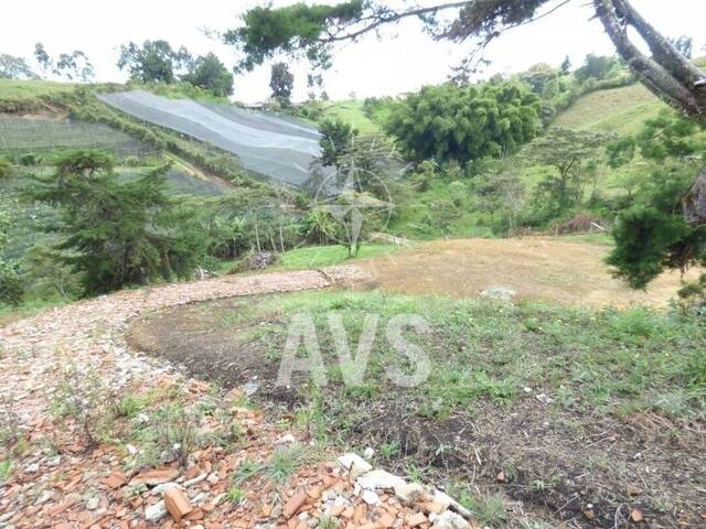 #2877 - Terreno para Venta en Marinilla - ANT - 1