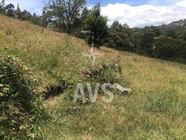 #2741 - Terreno para Venta en Rionegro - ANT - 3