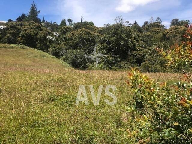 Terreno para Venta en Rionegro - 5