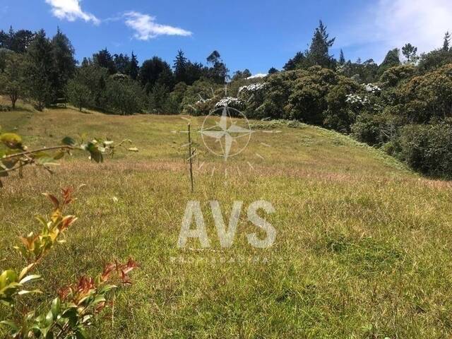 Terreno para Venta en Rionegro - 4