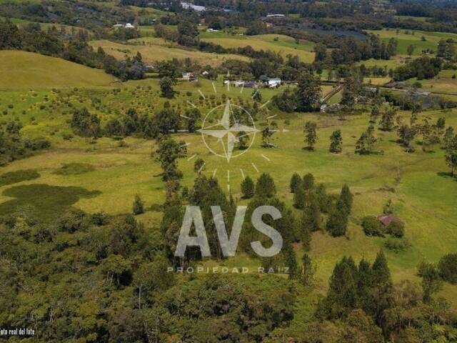 Terreno para Venta en La Ceja - 5