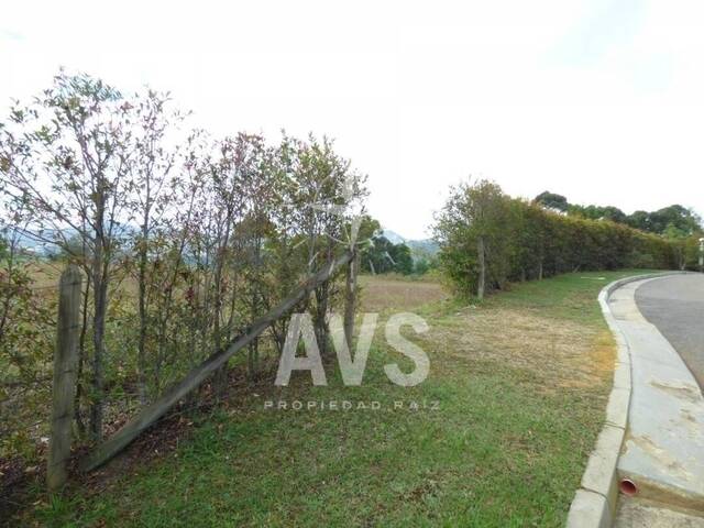 Terreno para Venta en La Ceja - 4