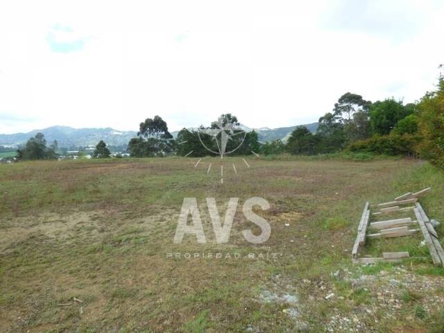 Terreno para Venta en La Ceja - 5