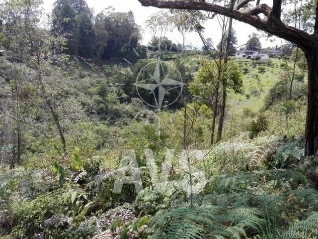 Terreno para Venta en Rionegro - 5