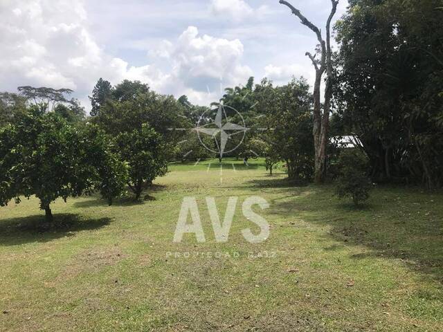 #2791 - Finca para Venta en Rionegro - ANT - 3