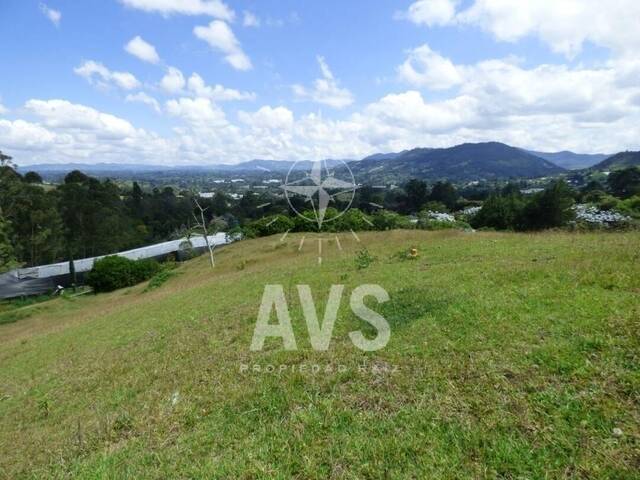 Terreno para Venta en Rionegro - 3
