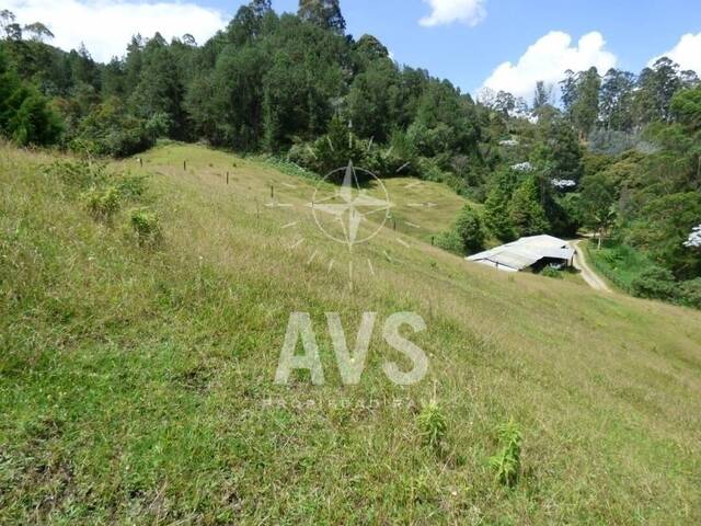 Terreno para Venta en Rionegro - 4
