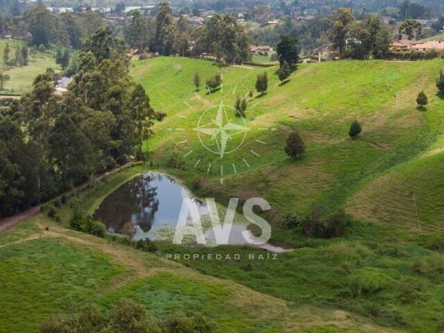 #2932 - Terreno para Venta en Rionegro - ANT - 3