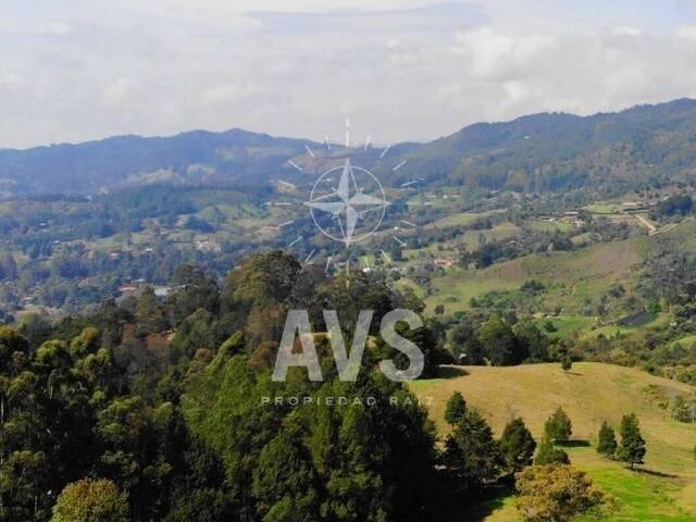 #2932 - Terreno para Venta en Rionegro - ANT - 1