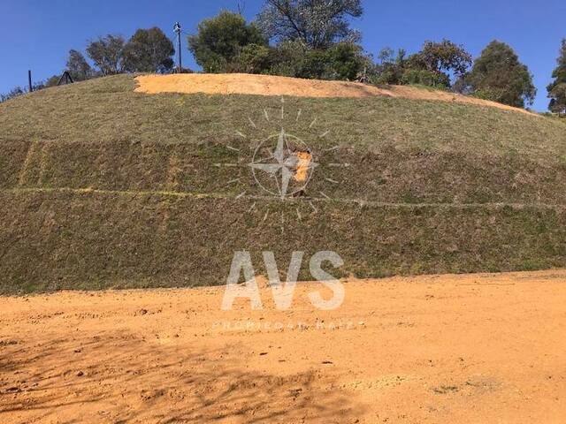 Terreno para Venta en Rionegro - 4