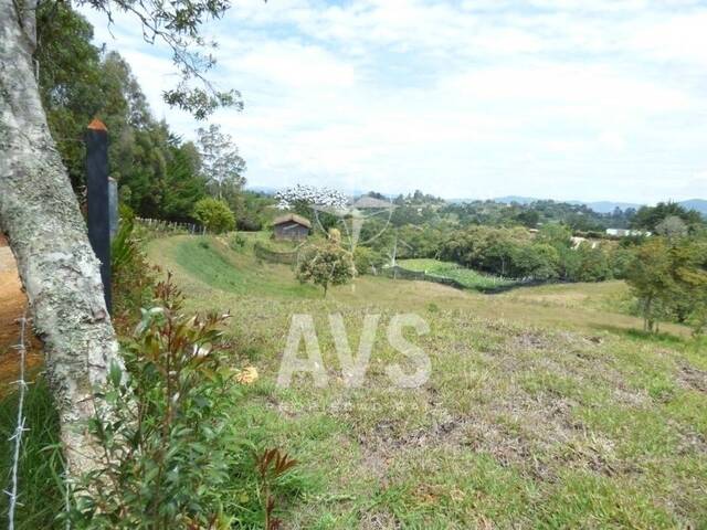 #3016 - Terreno para Venta en Rionegro - ANT - 2