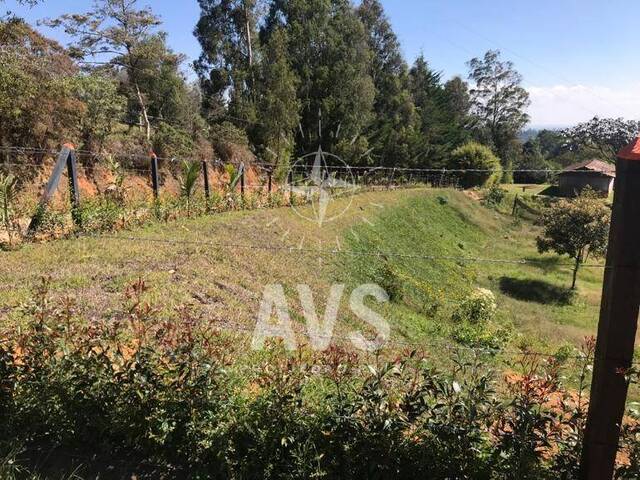 Terreno para Venta en Rionegro - 5