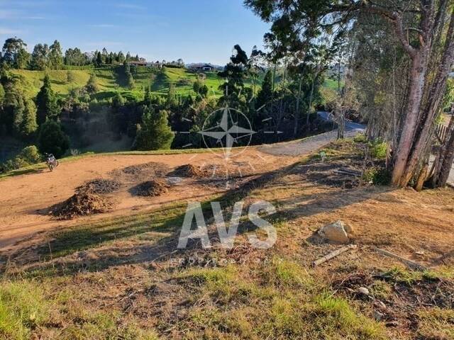 Terreno para Venta en Guarne - 4