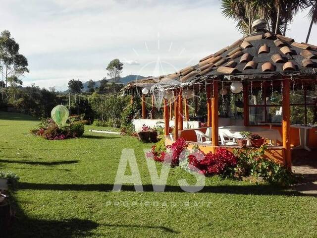 #3074 - Finca para Venta en Rionegro - ANT - 1