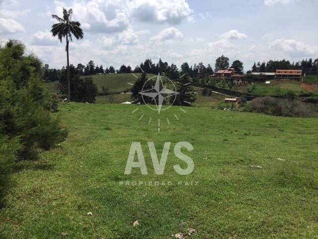 #3094 - Terreno para Venta en Rionegro - ANT - 1