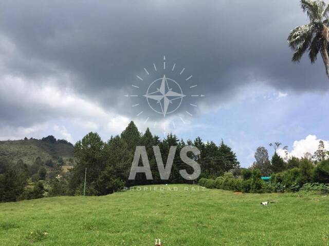 #3094 - Terreno para Venta en Rionegro - ANT - 2
