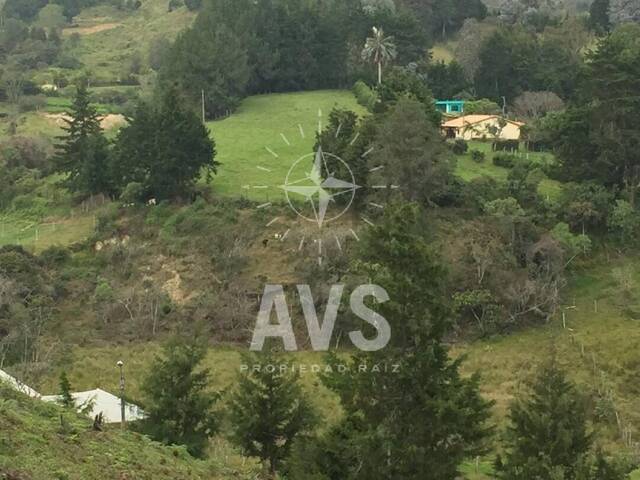 Terreno para Venta en Rionegro - 4