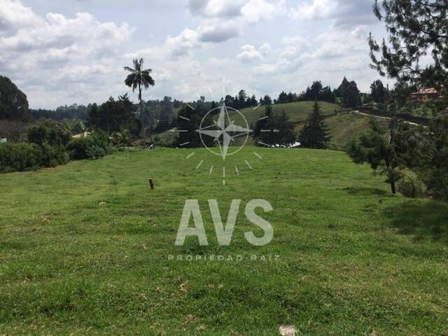 #3094 - Terreno para Venta en Rionegro - ANT - 3