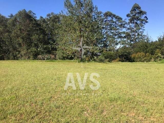 #3121 - Terreno para Venta en Rionegro - ANT - 3