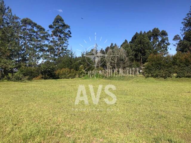 #3121 - Terreno para Venta en Rionegro - ANT - 1