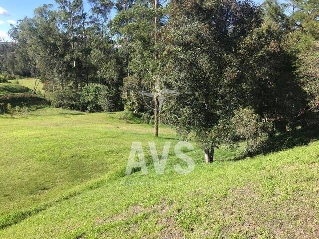 #3118 - Terreno para Venta en Rionegro - ANT - 2