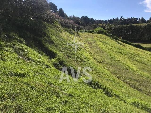 #3118 - Terreno para Venta en Rionegro - ANT - 3