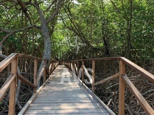 Terreno para Venta en Antioquia - 5