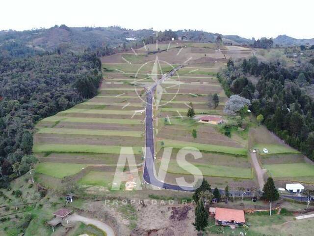 #3162 - Industrial para Venta en Guarne - ANT - 1