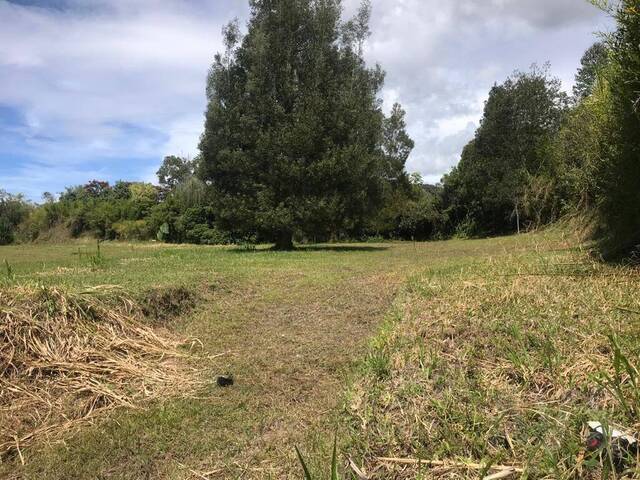 Terreno para Venta en Rionegro - 4