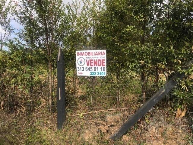 #3164 - Terreno para Venta en Rionegro - ANT