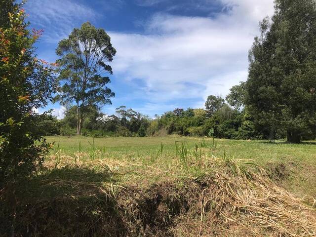#3164 - Terreno para Venta en Rionegro - ANT