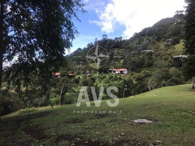 Finca para Venta en Rionegro - 5