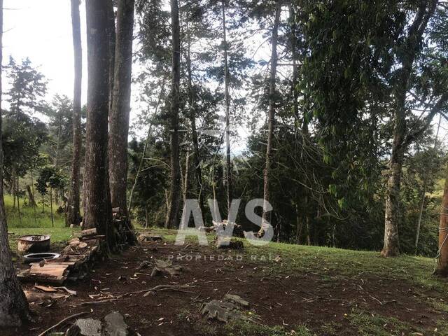 Finca para Venta en Rionegro - 4