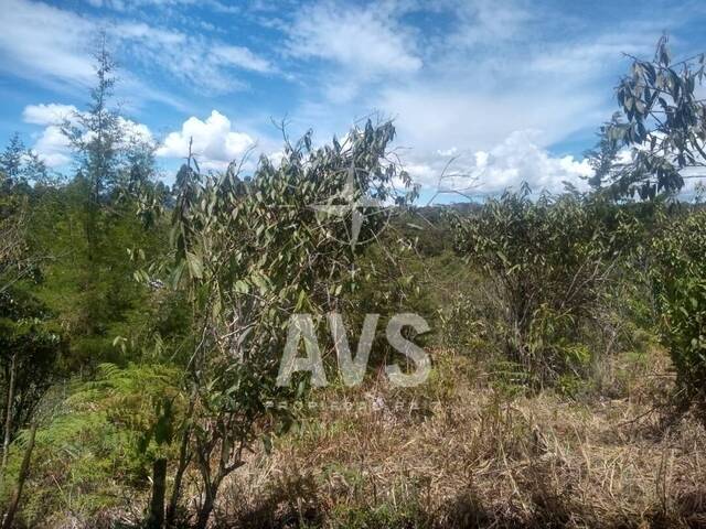 Industrial para Venta en Rionegro - 4