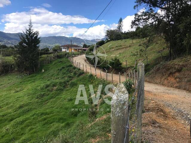 #3130 - Terreno para Venta en Rionegro - ANT - 3