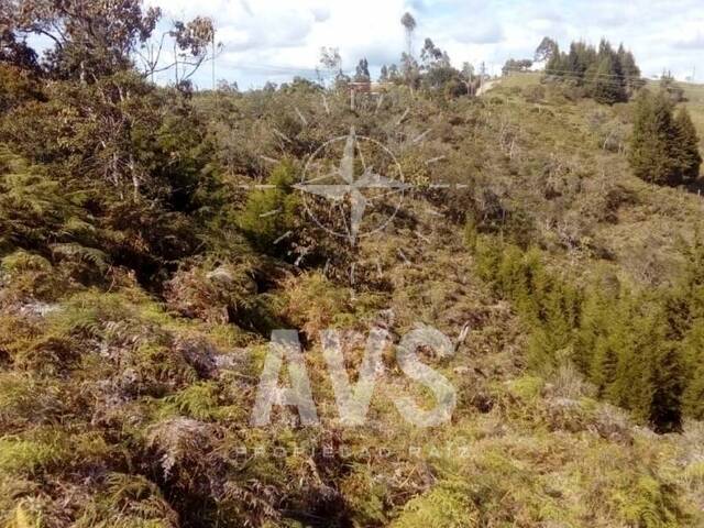 #3198 - Terreno para Venta en Rionegro - ANT - 3