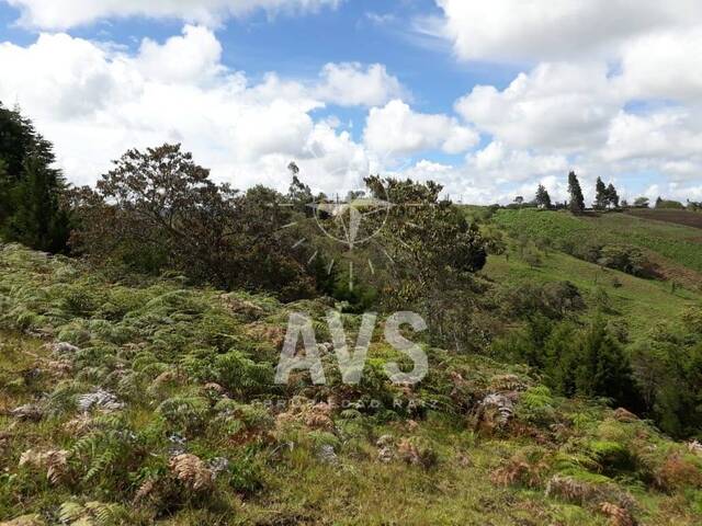 Terreno para Venta en Rionegro - 5