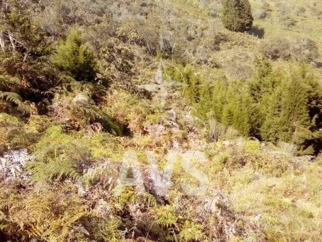 Terreno para Venta en Rionegro - 4