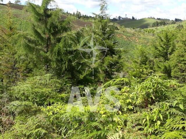 #3195 - Terreno para Venta en Rionegro - ANT - 2
