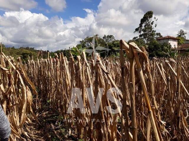 #3195 - Terreno para Venta en Rionegro - ANT - 3