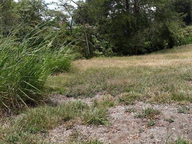 Terreno para Venta en Rionegro - 5