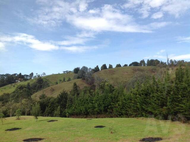 Terreno para Venta en Rionegro - 2