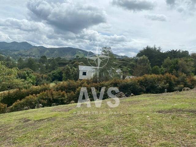 Terreno para Venta en La Ceja - 4
