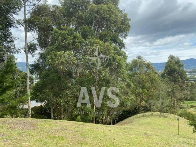 Terreno para Venta en La Ceja - 5